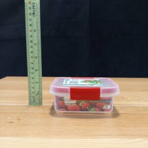 جا فریزری مستطیل گاپانا