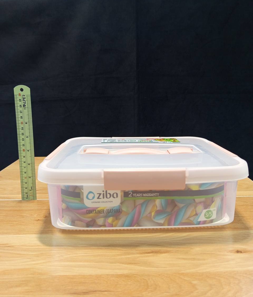 ظرف فریزری در دار مستطیل گاپانا